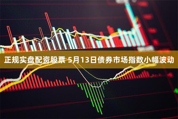 正规实盘配资股票 5月13日债券市场指数小幅波动